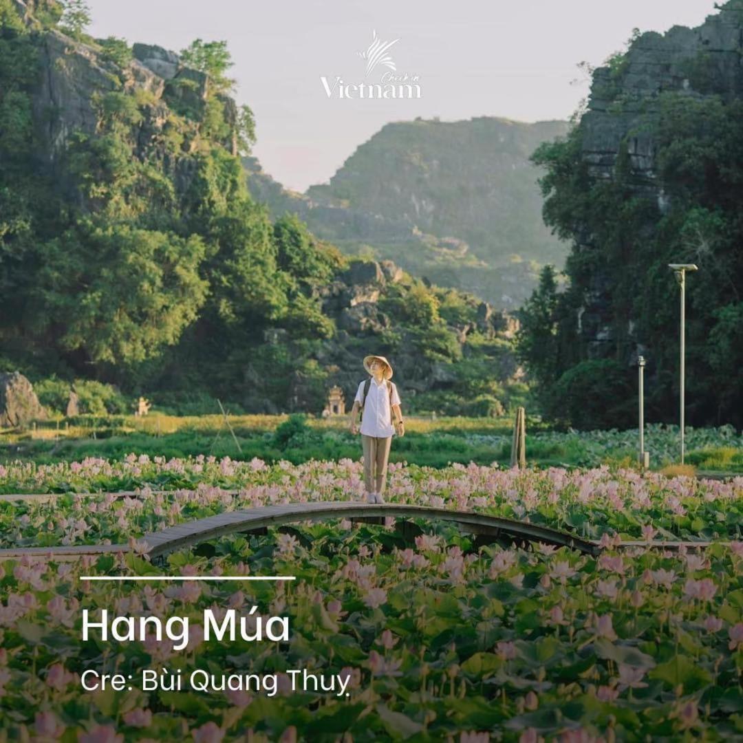 Cherry Homestay Ninh Bình Extérieur photo